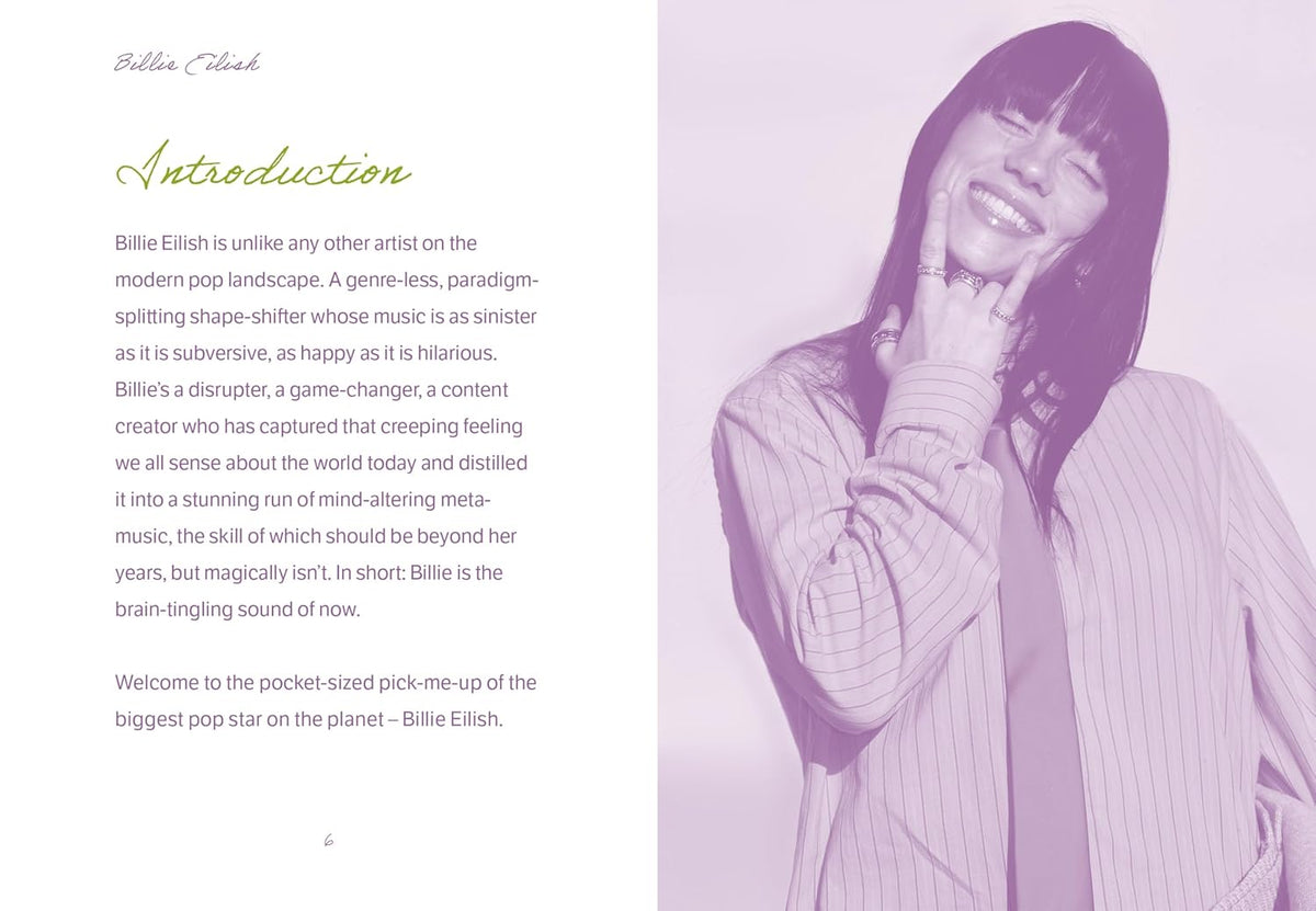 Pocket Guide To Billie Eilish
