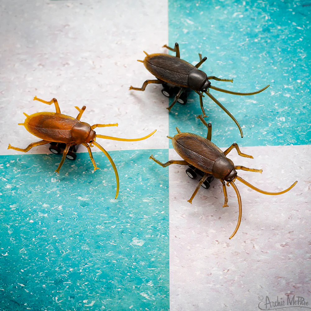 Racing Roach