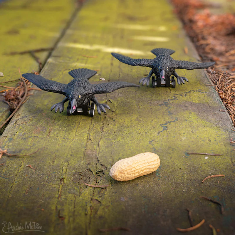 Racing Crow