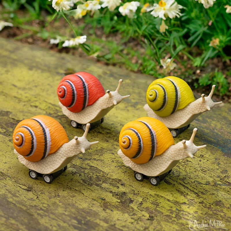 Racing Snail