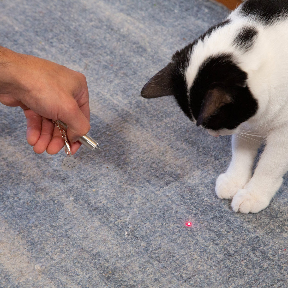 Rechargeable Laser Pointer