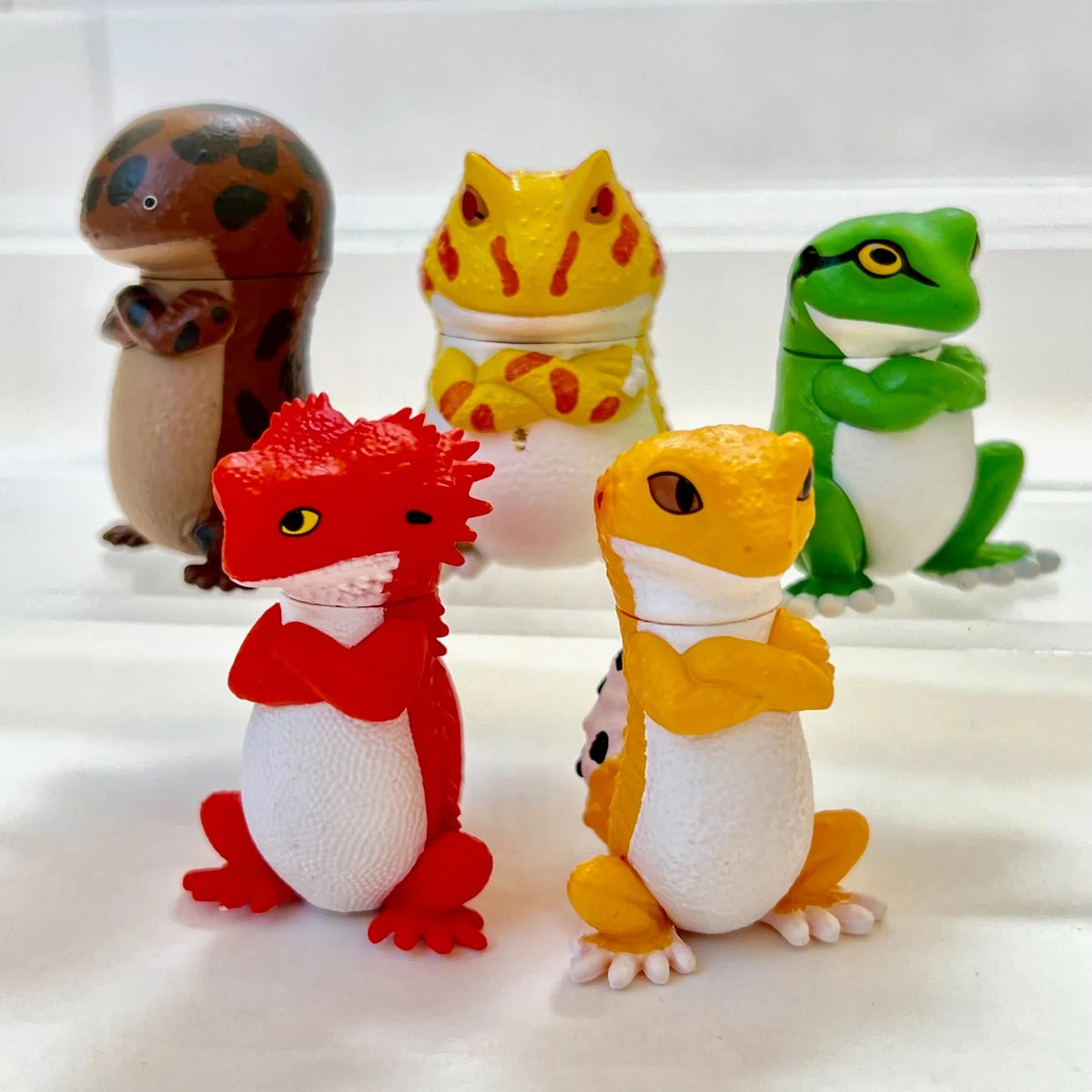 Reptile Attitude Blind Box