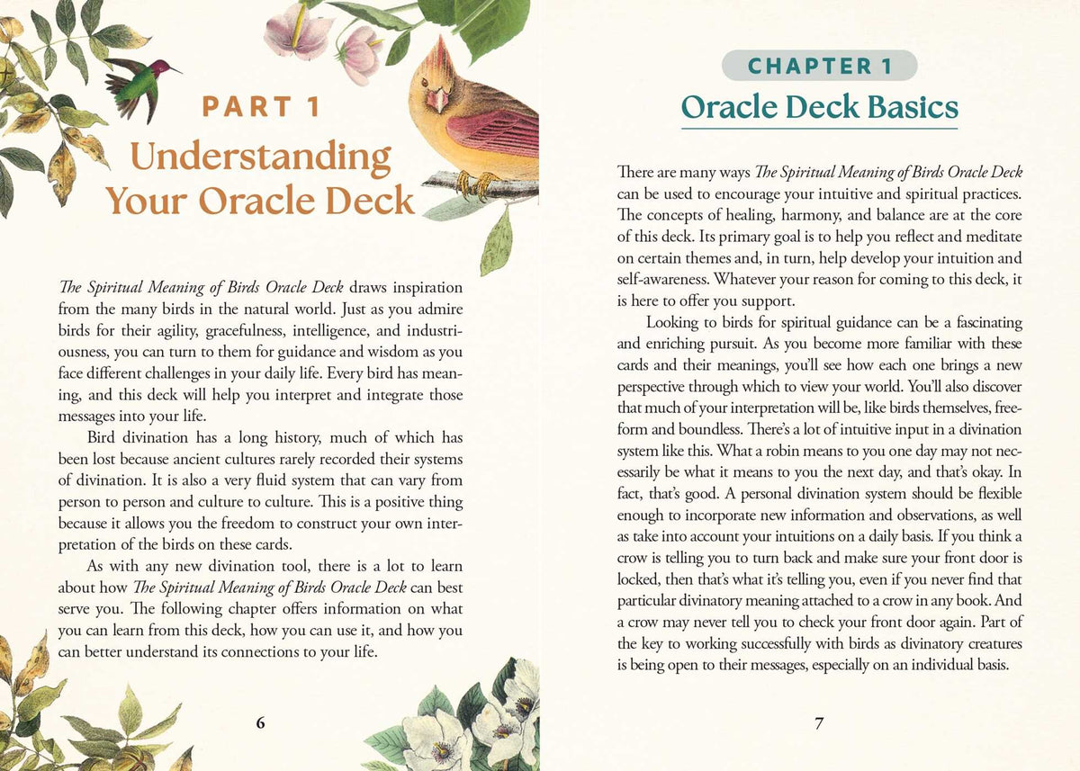 Spiritual Meaning Of Birds Oracle Deck