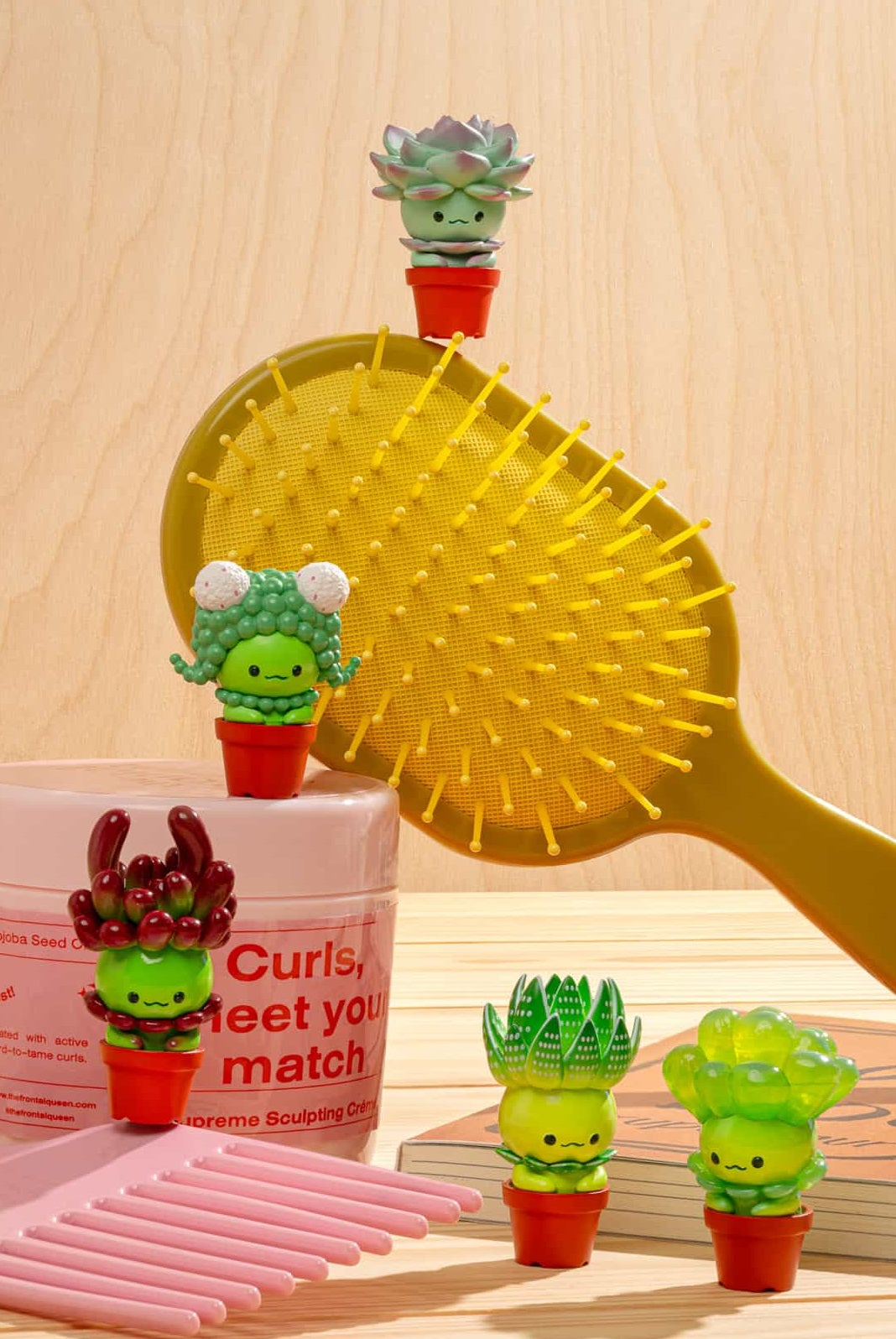 Succulent Friends Blind Box