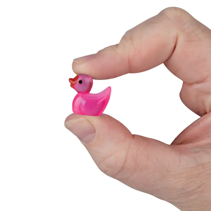 Teeny Tiny Ducks