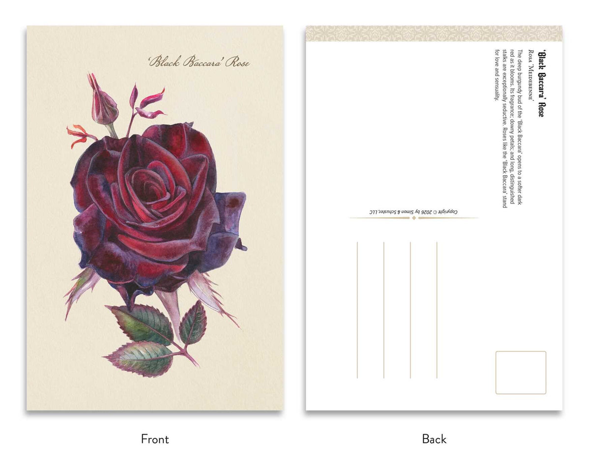 Goth Garden Dark Blooms Postcard Set