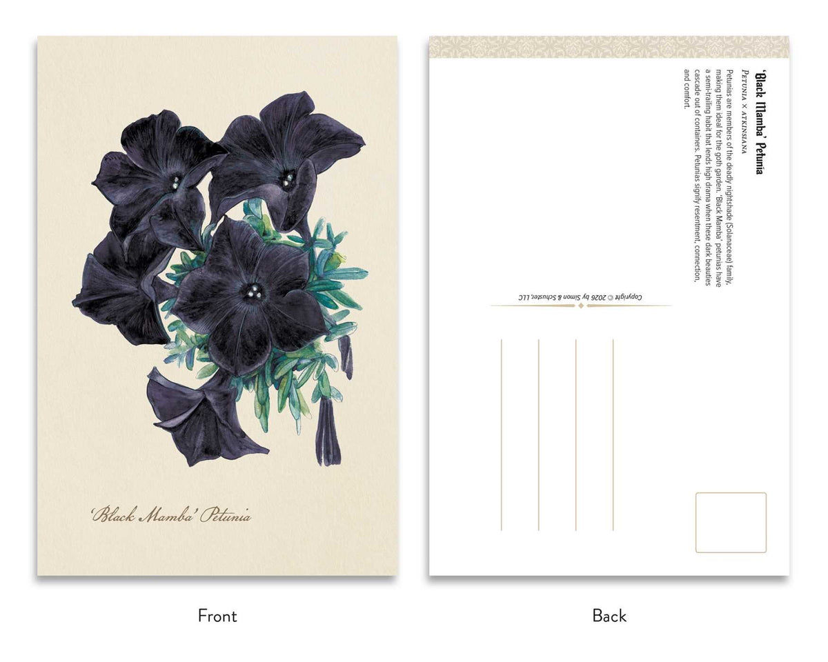 Goth Garden Dark Blooms Postcard Set