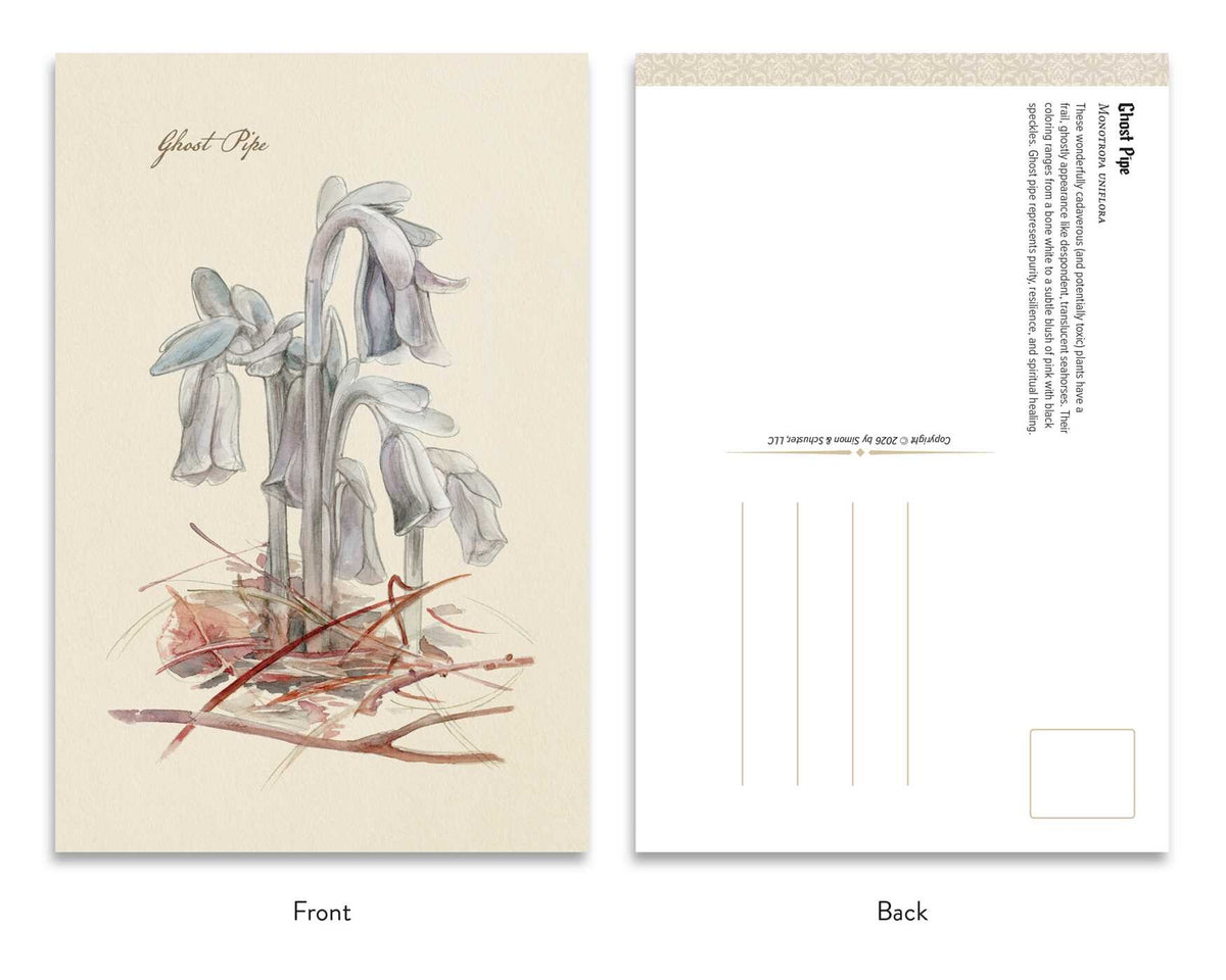 Goth Garden Dark Blooms Postcard Set