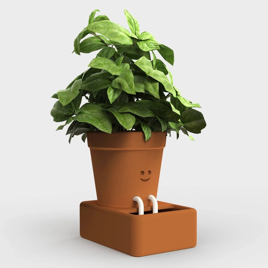 The Self-Care Planter