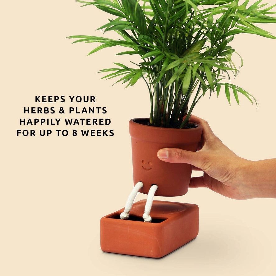 The Self-Care Planter