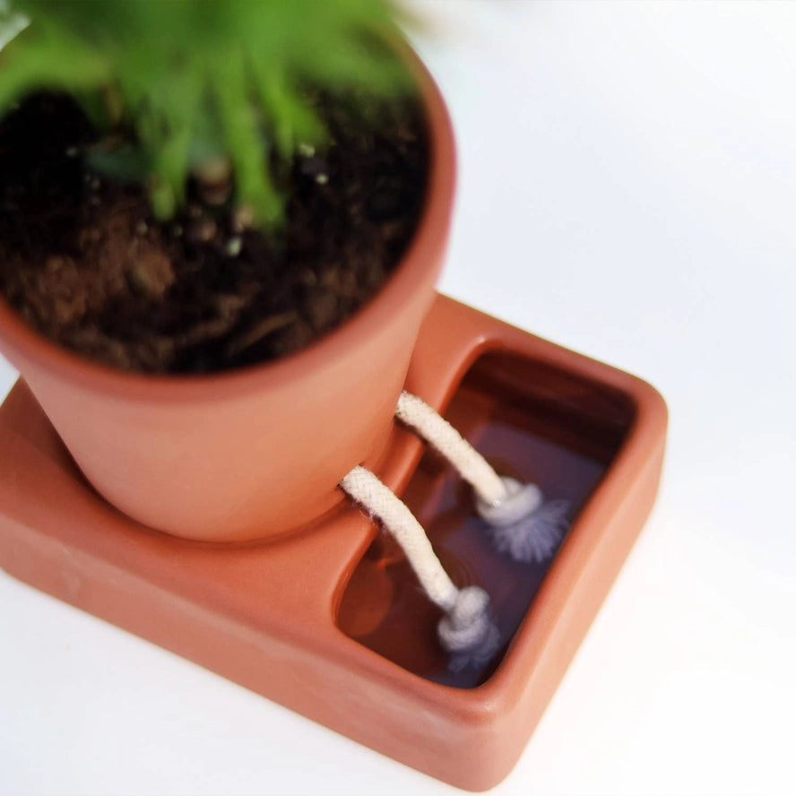 The Self-Care Planter