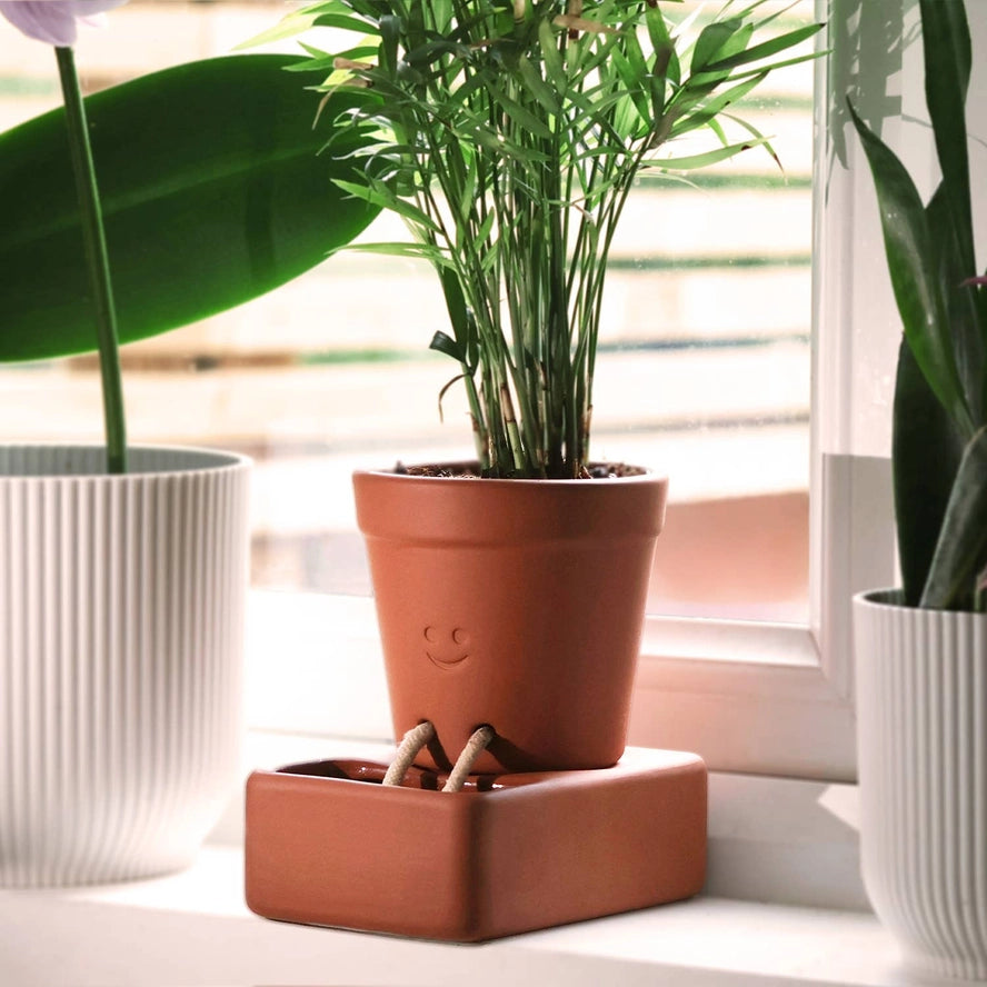 The Self-Care Planter