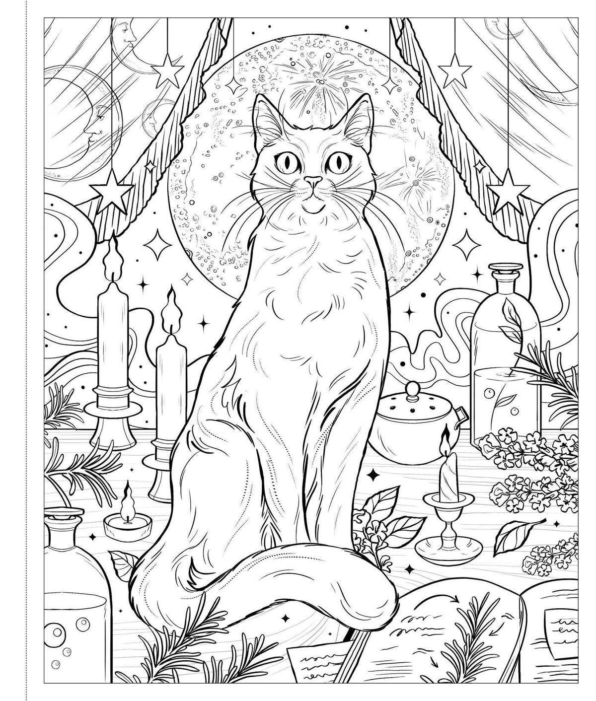 Unofficial Coloring Book Of Practical Magic