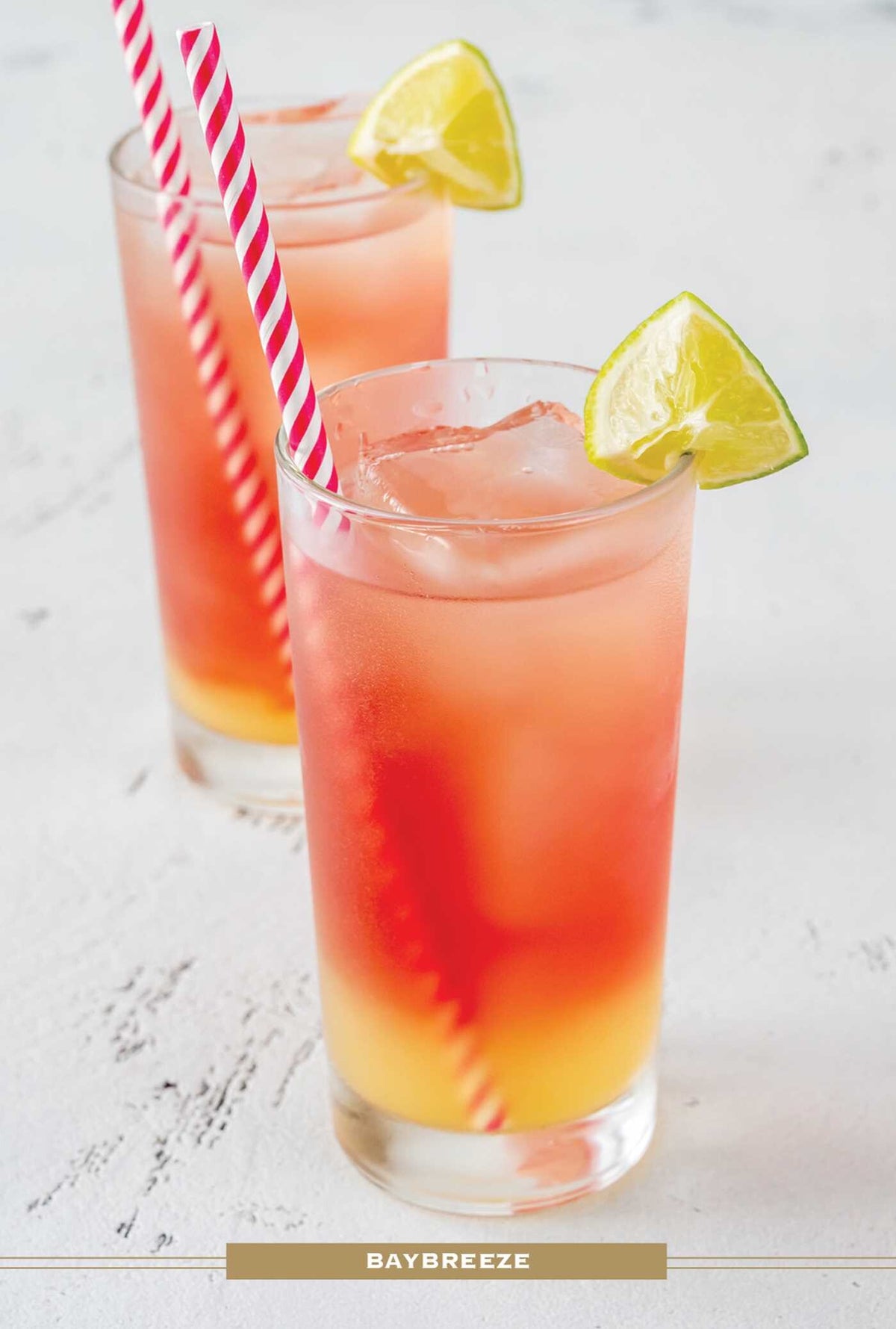 Vodka Drink Recipe Dictionary Deck
