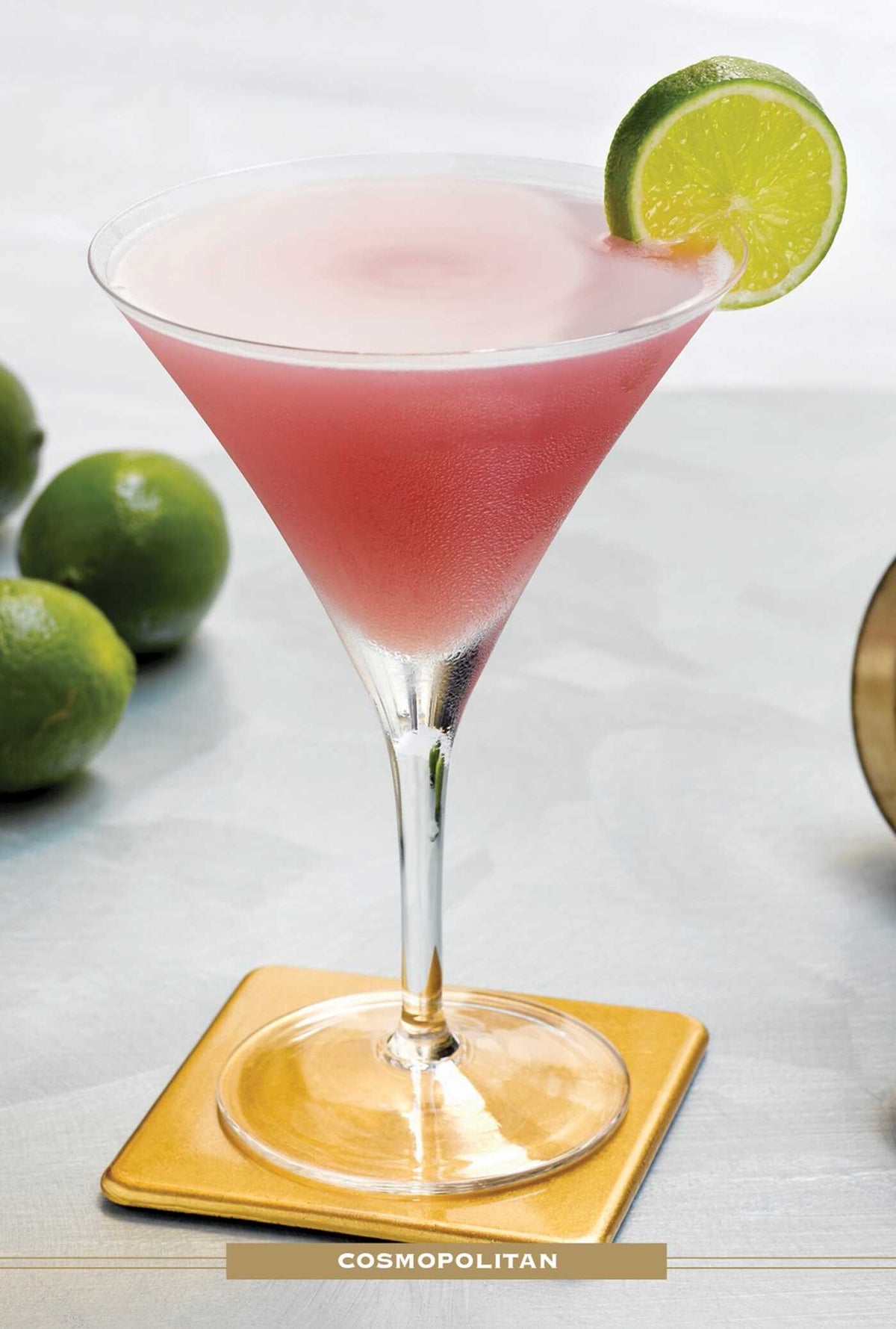Vodka Drink Recipe Dictionary Deck