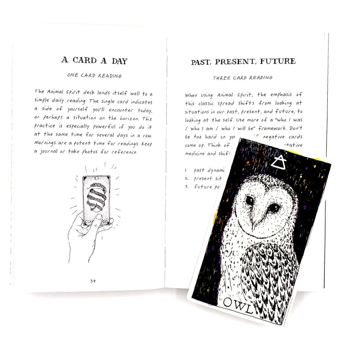 Wild Unknown Animal Spirit Deck & Guidebook