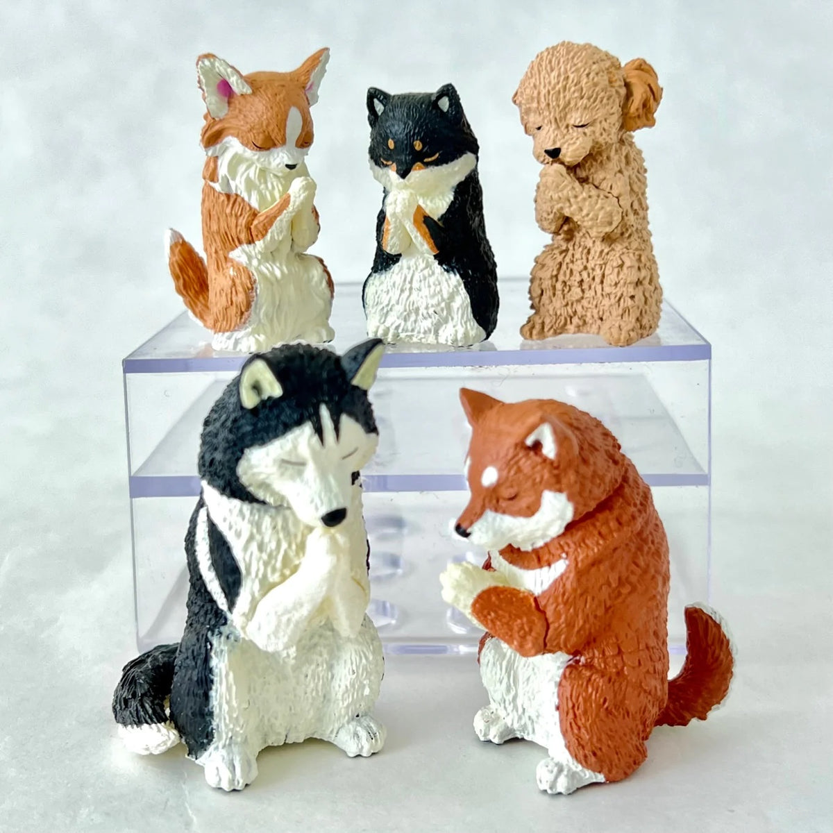 Wishing Dog Blind Box Vol. 2