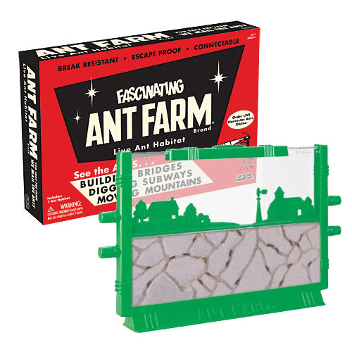 Ant Farm