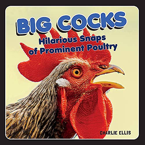 Big Cocks Hilarious Snaps Of Prominent Poultry Photo Book
