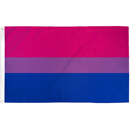 Bisexual Flag 3 X 5