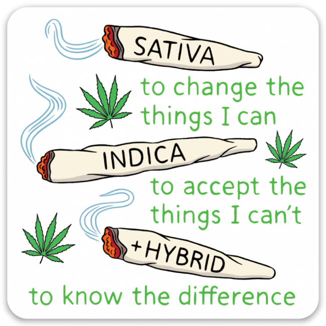 Joints Die Cut Sticker