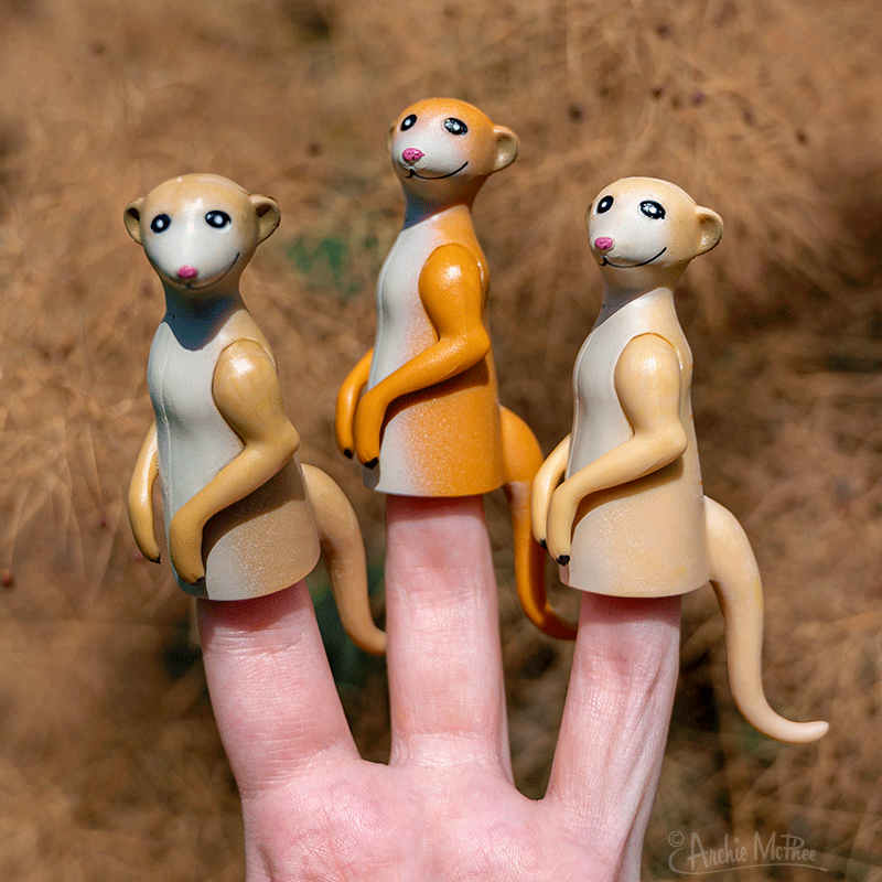 Finger Meerkat