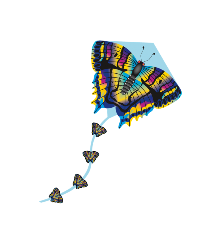 Kite Blue Butterfly Diamond DLX
