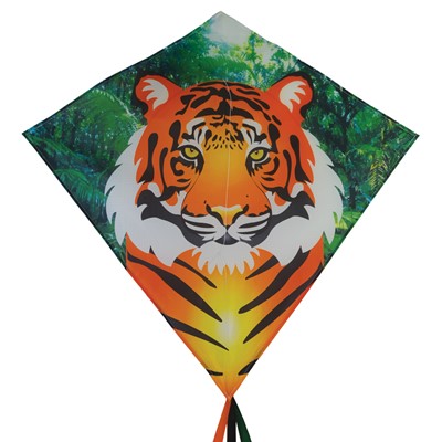 Kite Tiger Diamond