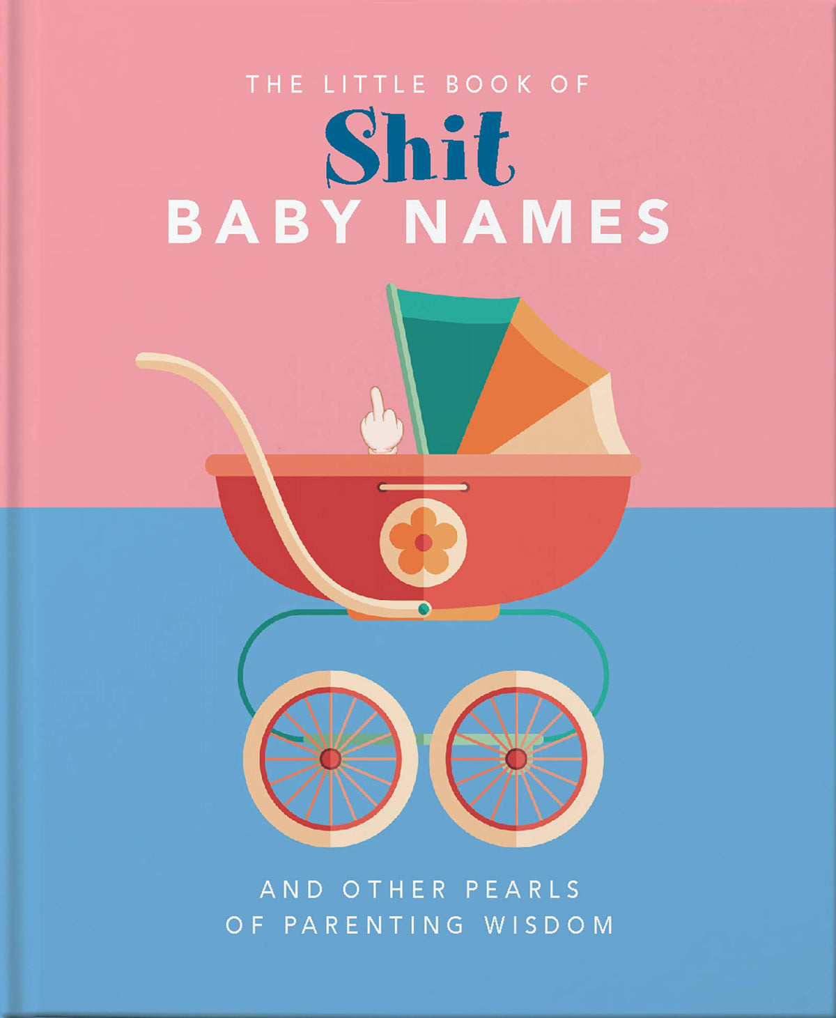 Little Book Of Shit Baby Names