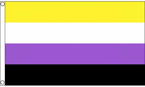 Non-Binary Flag 3 X 5