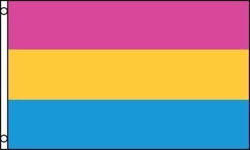 Pansexual Flag 3 X 5