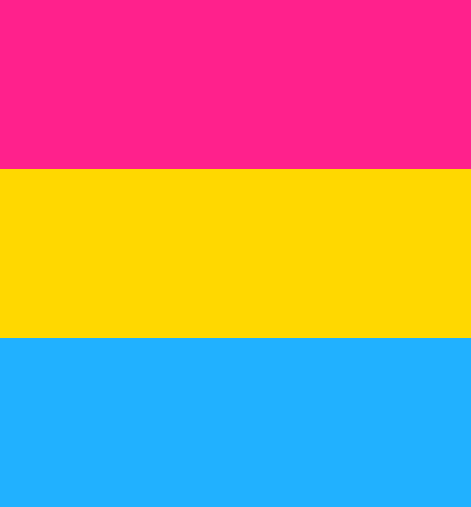 Pansexual Flag Vinyl Sticker