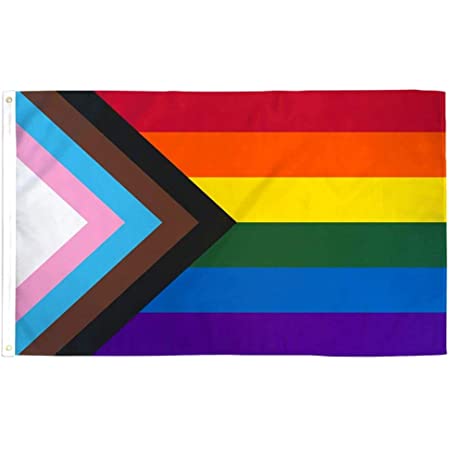 Progress Pride Flag 3 X 5