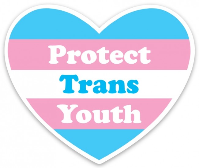 Protect Trans Youth Die Cut Sticker