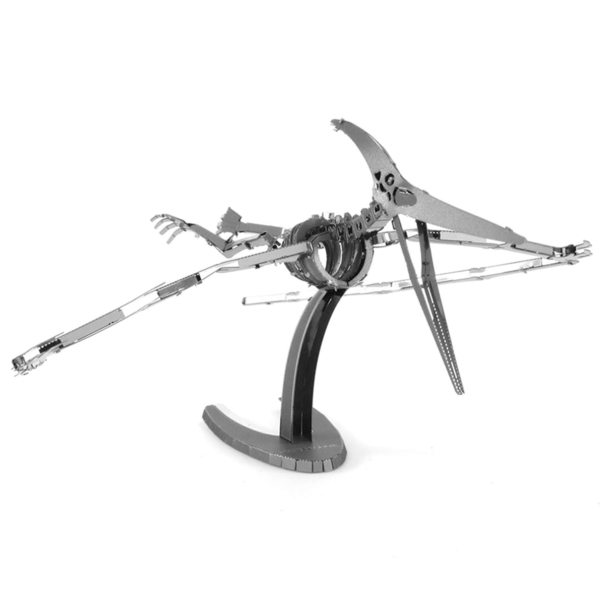 Pteranodon Skeleton Metal Model