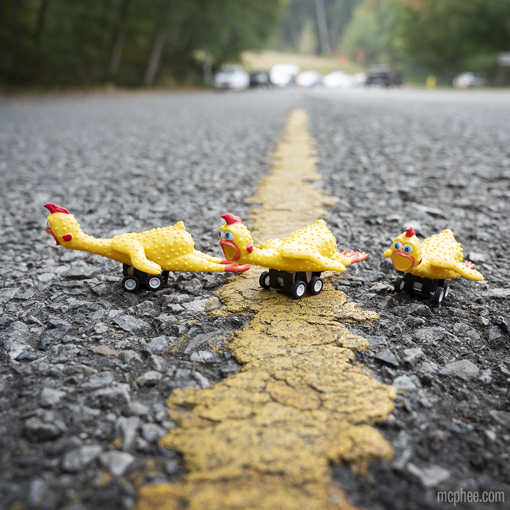 Racing Rubber Chicken