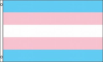 Transgender Flag 3 X 5